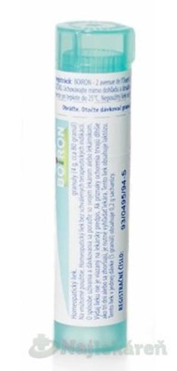 Arnica Montana gra.1x4g 200CH