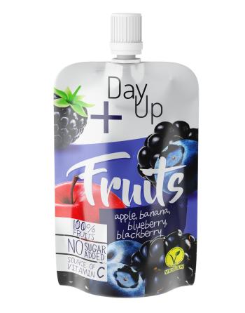 DayUp Fruits Blueberry PO 100G