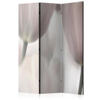 Paraván Tulips fine art - black and white Dekorhome 135x172 cm (3-dielny)