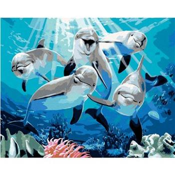 Maľovanie podľa čísel – Veselé delfíny (Howard Robinson) (HRAbz33475nad)