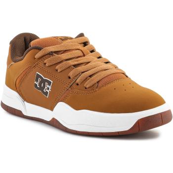 DC Shoes  Central ADYS100551-WD4  Skate obuv Hnedá