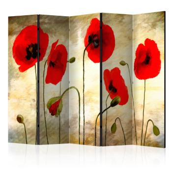 Paraván Golden Field of Poppies Dekorhome 225x172 cm (5-dielny)