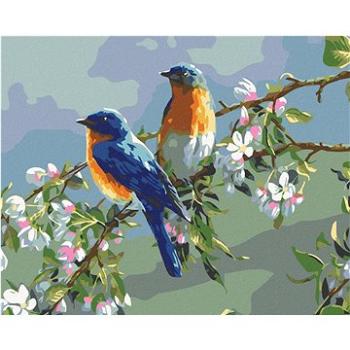 Maľovanie podľa čísel – Vtáčiky (HRAmal01204nad)