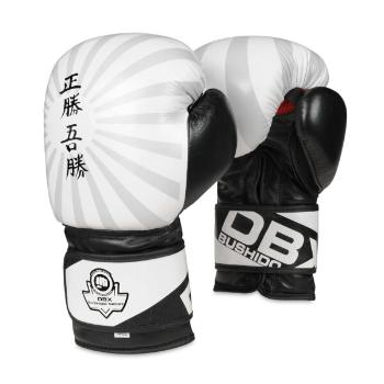 B-2V8 10 OZ BOXERSKÉ RUKAVICE DBX BUSHIDO