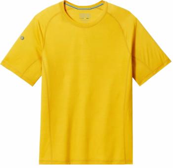 Smartwool Men's Active Ultralite Short Sleeve Honey Gold L