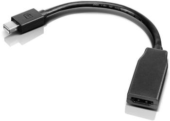Lenovo 0B47089  adaptér [1x mini DisplayPort zástrčka - 1x HDMI zásuvka] čierna