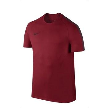 Nike  Tričká s krátkym rukávom Dry Squad  viacfarebny