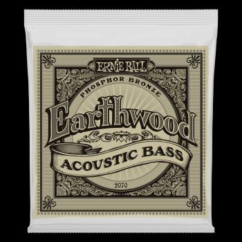 Ernie Ball 2070 Earthwood