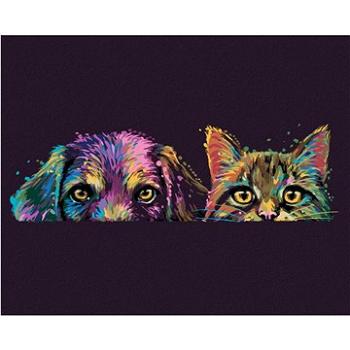 Maľovanie podľa čísel – Pes a mačka vo farbách (HRAbz33517nad)