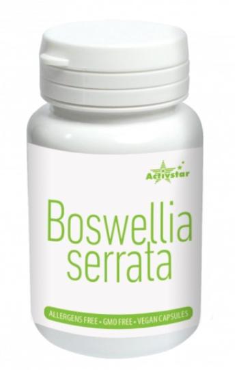 BOSWELLIA SERRATA - kadidlovnik