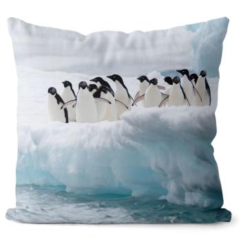 Vankúš Skupina tučniakov (Veľkosť: 40 x 40 cm)