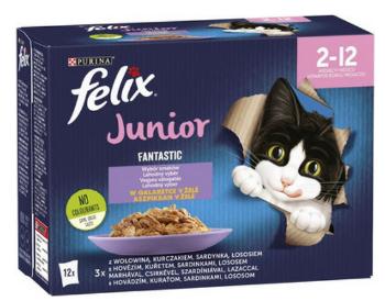 FELIX Fantastic cat Multipack junior (hovädzie,kura,sardinky,losos) v želé kapsička 12x85g