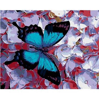 Maľovanie podľa čísel – Modrý motýľ a kvietky (HRAmal00134nad)