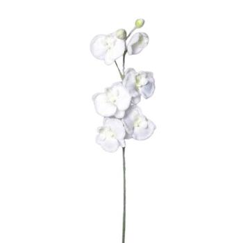 Umelá zasnežená Orchidea biela, 81 cm