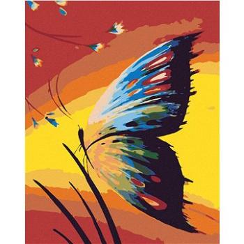 Maľovanie podľa čísel – Motýľ v tráve a západ slnka (HRAmal00763nad)