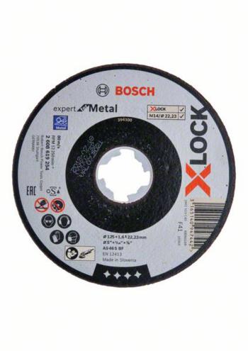 Bosch Accessories  2608619254 rezný kotúč rovný  125 mm 22.23 mm 1 ks