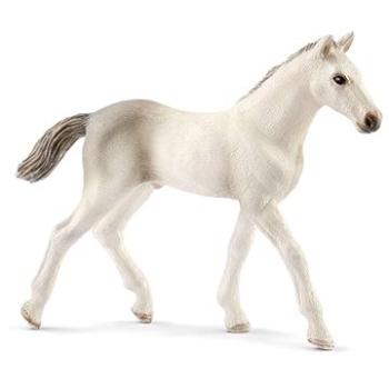 Schleich 13860 - Holštýnske žriebä (4055744021350)