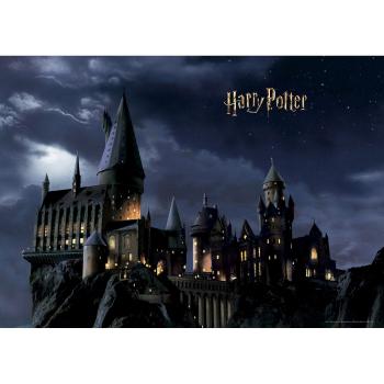 Detská fototapeta Harry Potter 252 x 182 cm, 4 diely