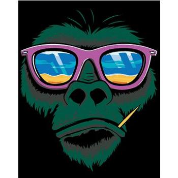Maľovanie podľa čísel – Opica a slnečné okuliare (HRAmal00011nad)