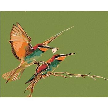 Maľovanie podľa čísel – Dva kolibríky (HRAmal00894nad)