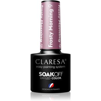 Claresa SoakOff UV/LED Color Frosty Morning gélový lak na nechty odtieň 9 5 g