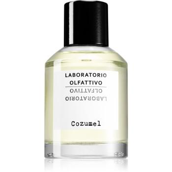 Laboratorio Olfattivo Cozumel parfumovaná voda pre mužov 100 ml