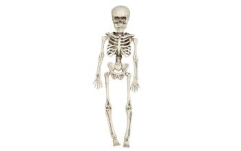 Skeleton - Kostra na zavesenie 40 cm - Halloween - GUIRCA