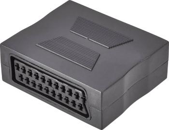 SpeaKa Professional SCART TV, prijímač adaptér [1x zásuvka SCART - 1x zásuvka SCART]  čierna