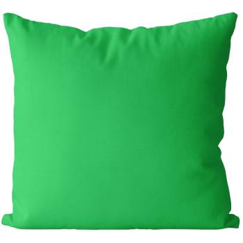 Vankúš Zelený svetlý  (Veľkosť: 55 x 55 cm)