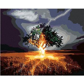Maľovanie podľa čísel – Keď do stromu udrie blesk (HRAmal01101nad)