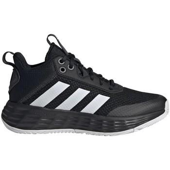 adidas  Basketbalová obuv Ownthegame 20  viacfarebny