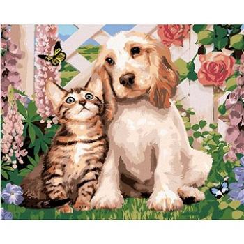 Maľovanie podľa čísel – Pes a mačka medzi kvetinami (Howard Robinson) (HRAbz33407nad)