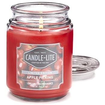 CANDLE LITE Apple Picking 510 g (76001399924)