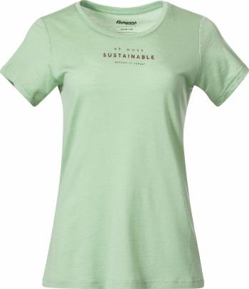 Bergans Graphic Wool Tee Women Light Jade Green/Chianti Red L