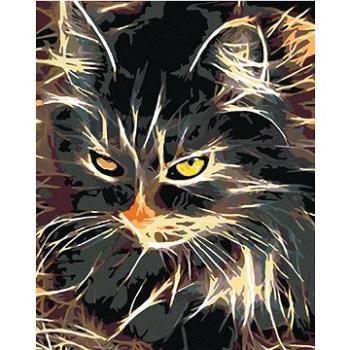 Maľovanie podľa čísel – Nádherne dvojfarebná mačka (HRAmal00264nad)