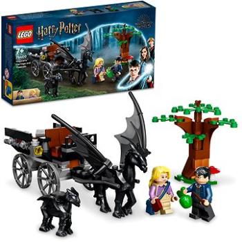 LEGO® Harry Potter™ 76400 - Rokfort: Koč a testrálovia (5702017153414)