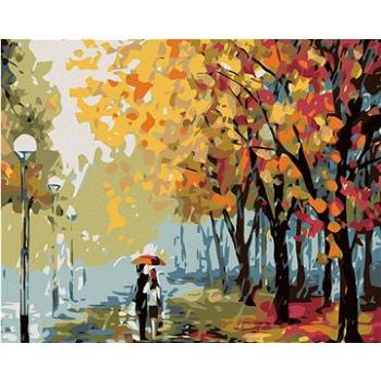 Maľovanie podľa čísel – Jesenný dážď (HRAmal00334nad)