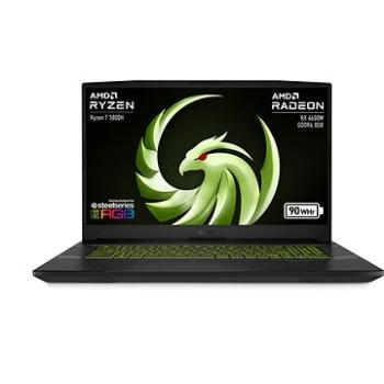 MSI Alpha 17 B5EEK-029CZ