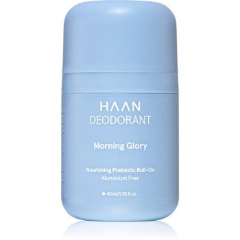 Haan Deodorant Morning Glory dezodorant roll-on bez obsahu hliníka 40 ml