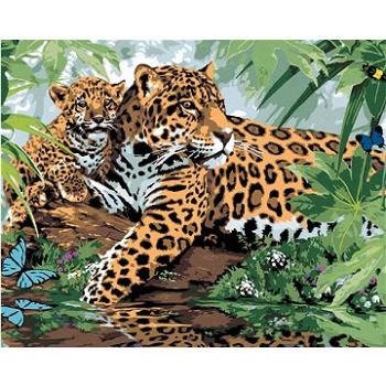Maľovanie podľa čísel – Jaguár s mláďaťom pri vode (Howard Robinson) (HRAbz33382nad)