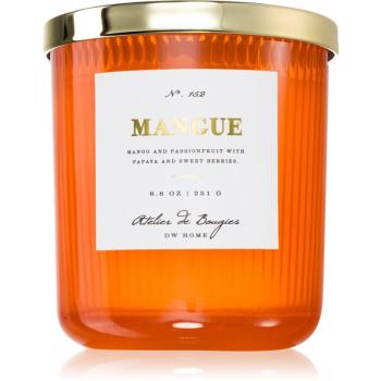 DW Home Atelier de Bougies Mangue vonná sviečka 251 g