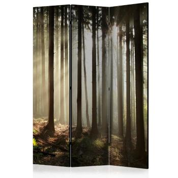 Paraván Coniferous forest Dekorhome 135x172 cm (3-dielny)