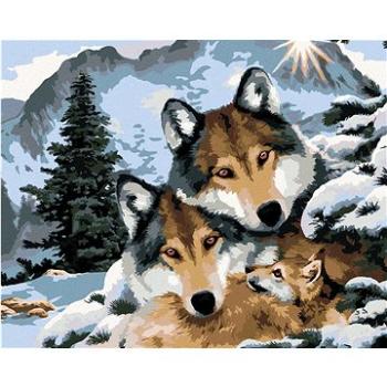 Maľovanie podľa čísel – Vlky a zimná krajina (Howard Robinson) (HRAbz33403nad)