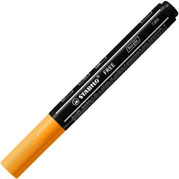 STABILO FREE Acrylic T300 2 – 3 mm, oranžový (4006381575973)