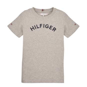 Tommy Hilfiger  U HILFIGER ARCHED TEE  Tričká s krátkym rukávom Šedá