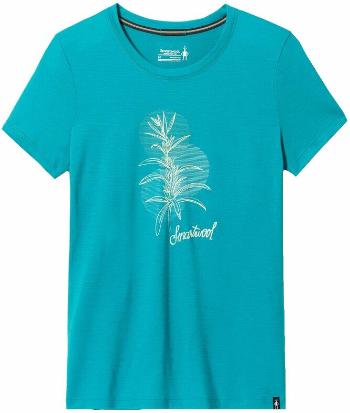 Smartwool Women’s Sage Plant Graphic Short Sleeve Tee Slim Fit Deep Lake S