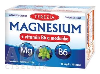 TEREZIA MAGNESIUM + vitamin B6 a meduňka (medovka) cps 1x30 ks