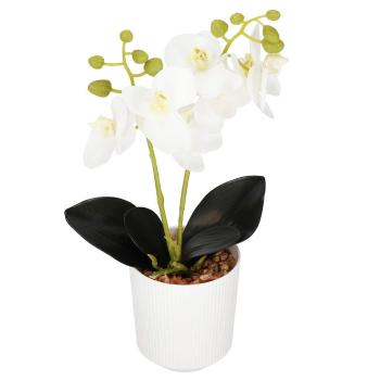 Springos Umelá orchidea v kvetináči - 33,5 cm - biela