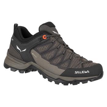 Salewa  Mtn Trainer Lite GTX 61362-7517  Turistická obuv Viacfarebná