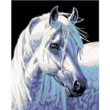 Maľovanie podľa čísel – Biely kôň II (HRAmal00812nad)